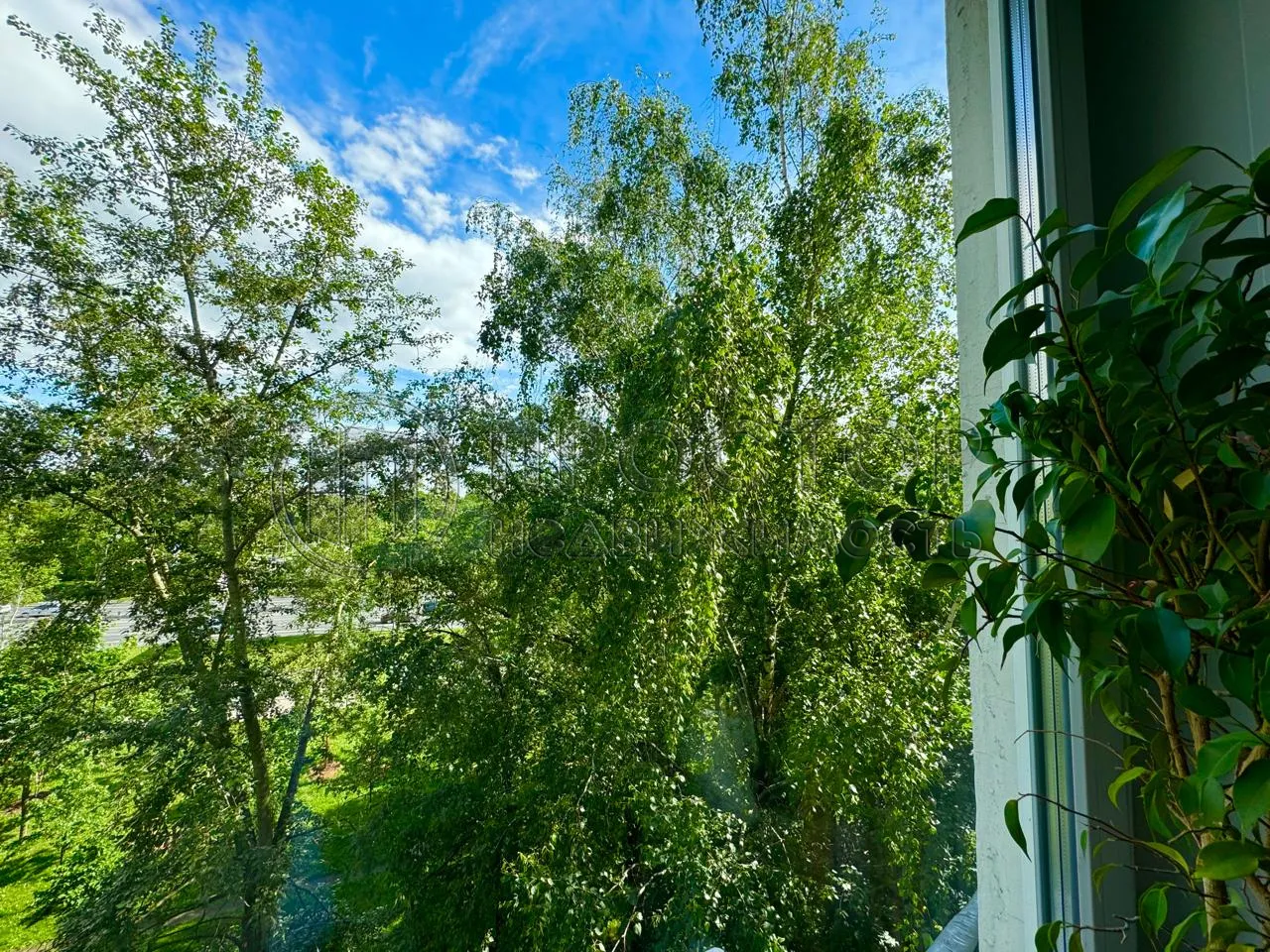 2-комнатная квартира, 45.5 м² - фото 7