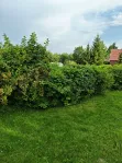 Участок, 26 сот. - фото 32