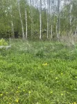 Участок, 13 сот. - фото 10
