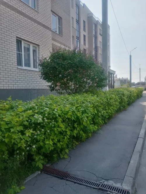 3-комнатная квартира, 75.6 м² - фото 3