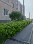 3-комнатная квартира, 75.6 м² - фото 22