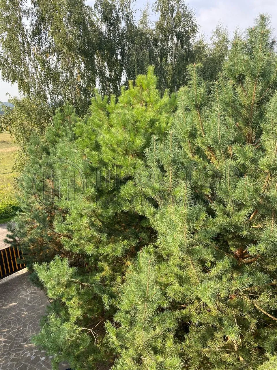 Дом, 181.7 м² - фото 8