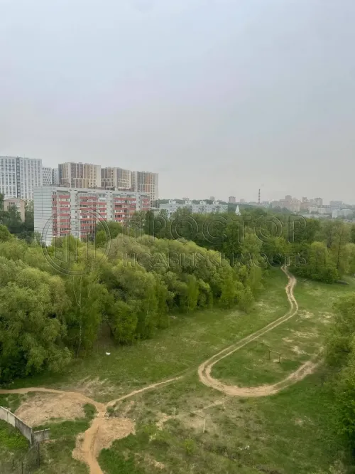 Студия, 24.2 м² - фото 11