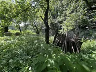 Участок, 17 сот. - фото 25