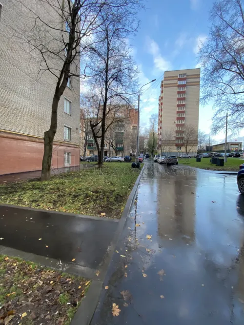 6-комнатная квартира, 258.5 м² - фото 6