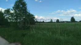 Участок, 100 сот. - фото 10