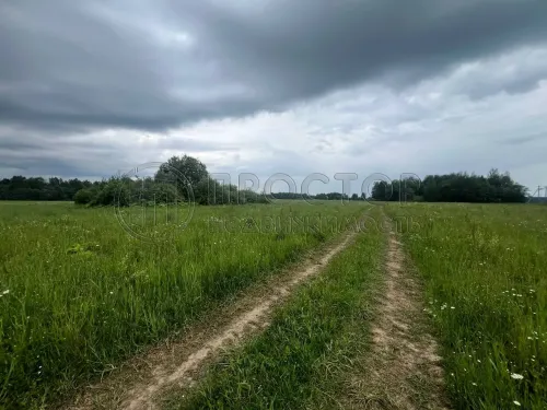 Участок, 8 сот. - фото 4