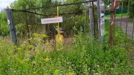 Участок, 10 сот. - фото 17