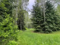 Коммерческая недвижимость (земельный участок),  м² - фото 15