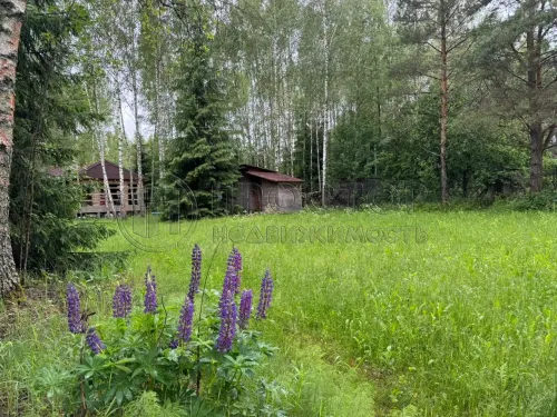 Коммерческая недвижимость (земельный участок),  м² - фото 11