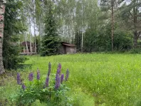 Коммерческая недвижимость (земельный участок),  м² - фото 24