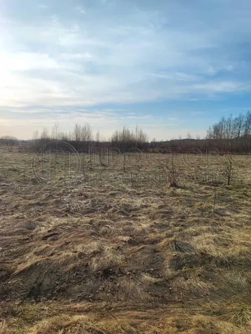 Участок, 21.14 сот. - фото 8