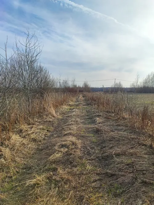 Участок, 21.14 сот. - фото 10