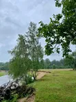 Коммерческая недвижимость (земельный участок),  м² - фото 78