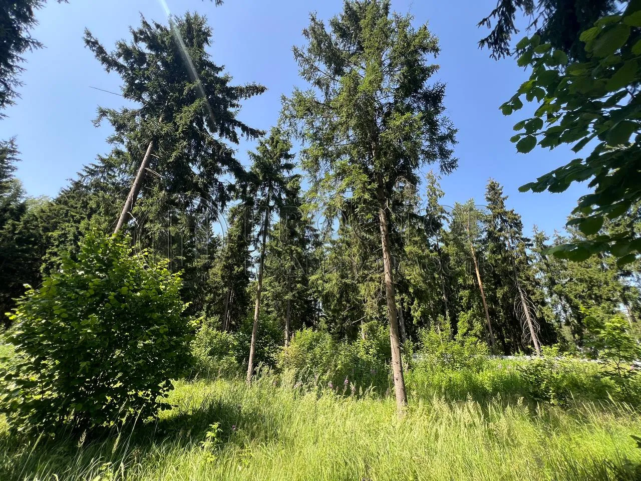 Участок, 12.5 сот. - фото 6