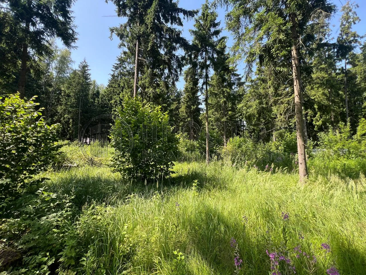 Участок, 12.5 сот. - фото 7