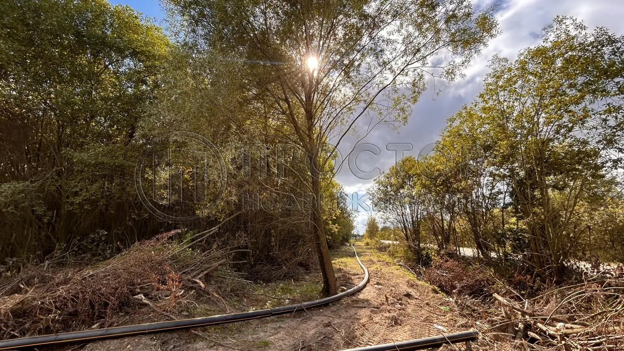 Коммерческая недвижимость (земельный участок),  м² - фото 2