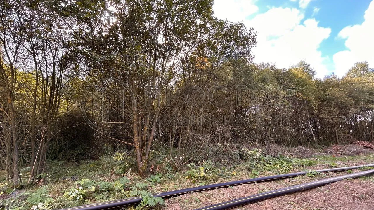 Коммерческая недвижимость (земельный участок),  м² - фото 10