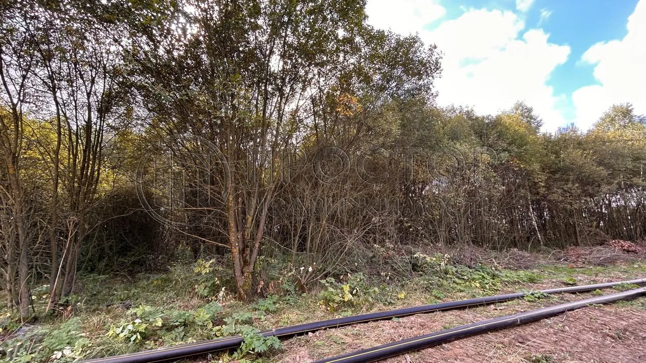 Коммерческая недвижимость (земельный участок),  м² - фото 11