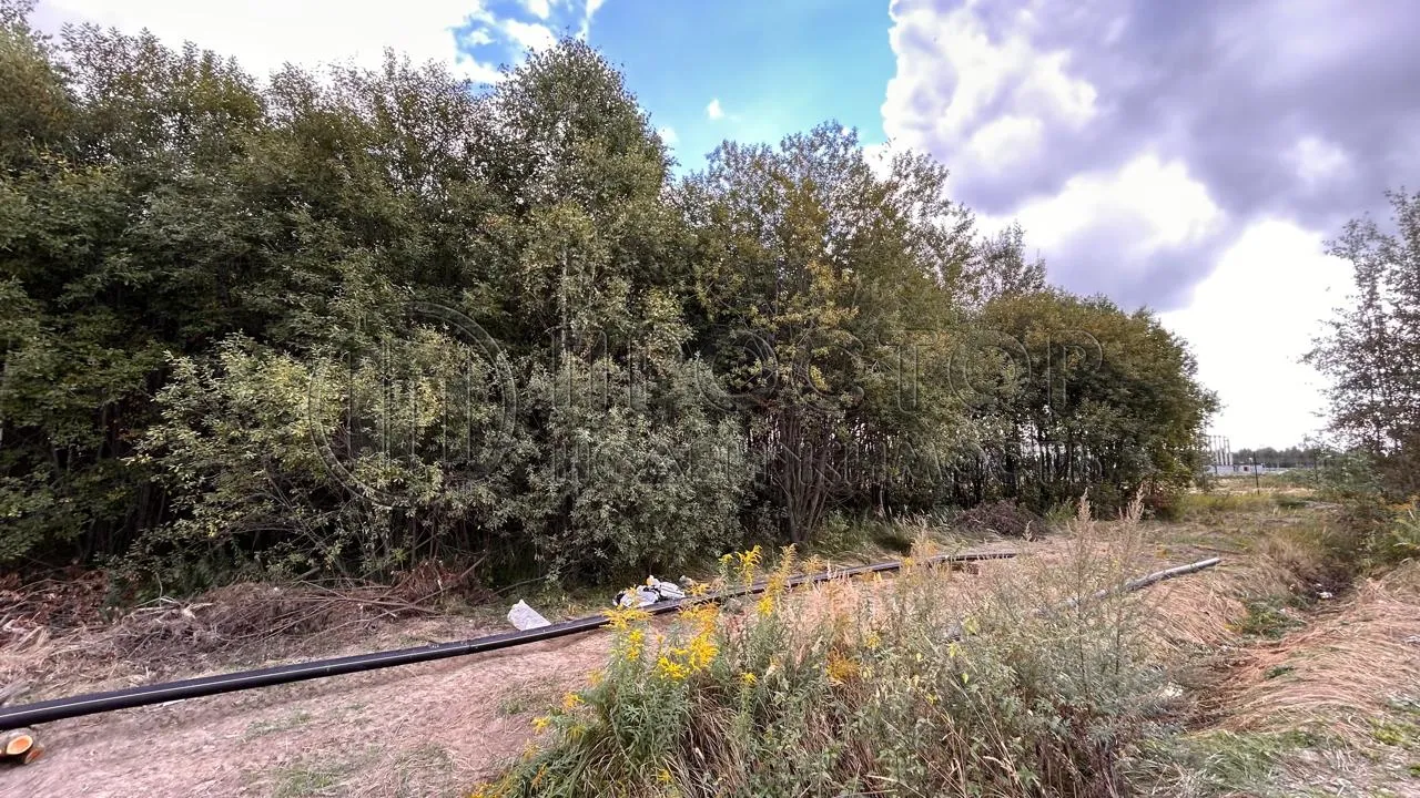 Коммерческая недвижимость (земельный участок),  м² - фото 18