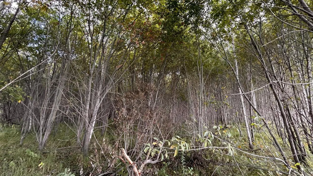 Коммерческая недвижимость (земельный участок),  м² - фото 23