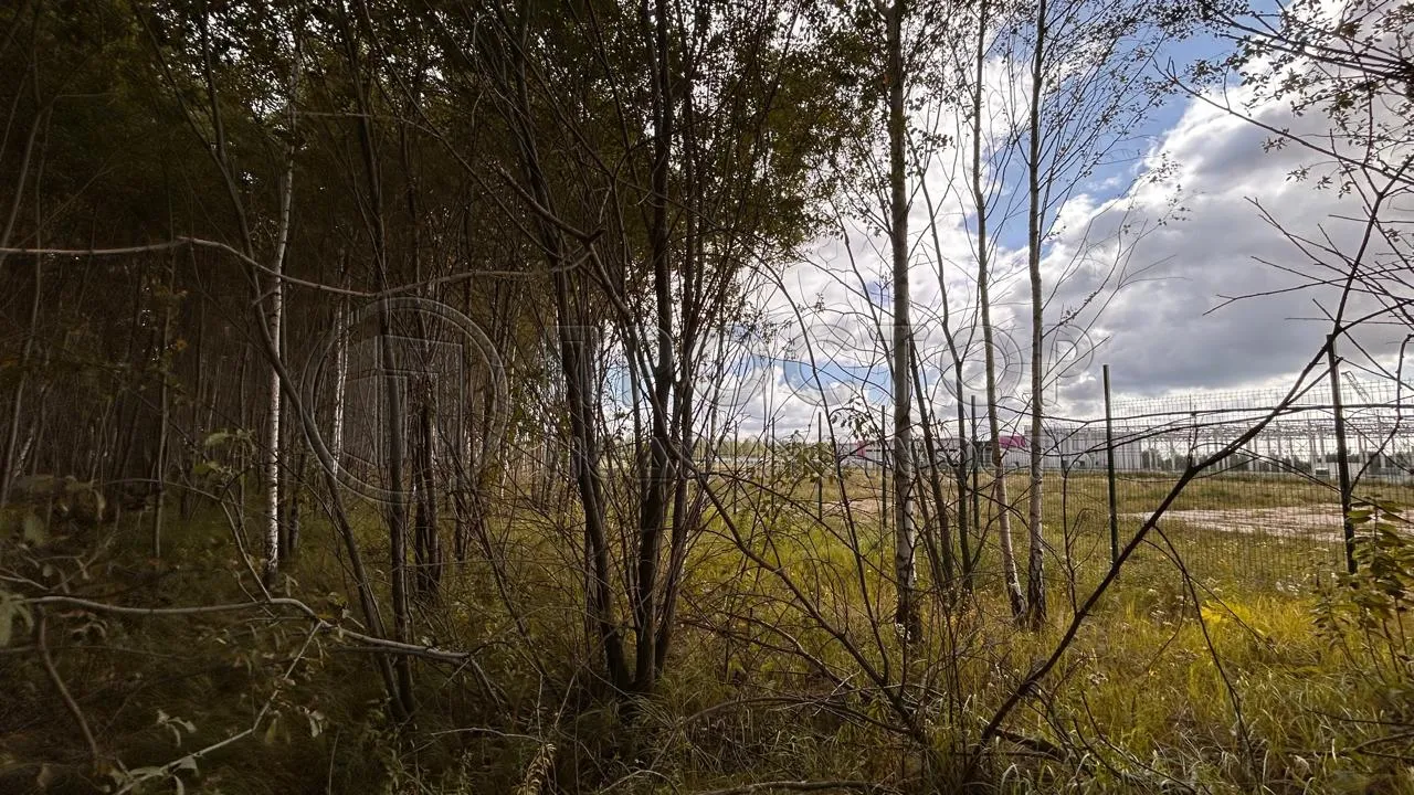 Коммерческая недвижимость (земельный участок),  м² - фото 24