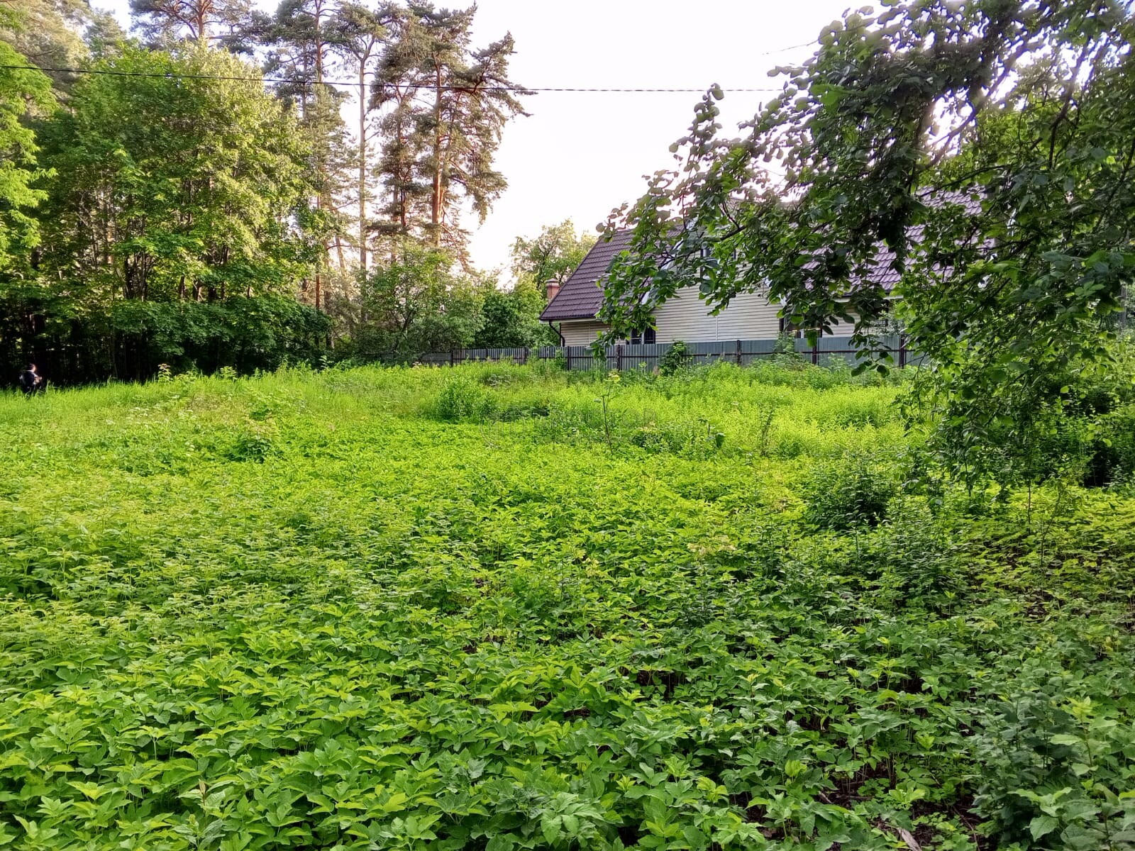 Участок, 5.1 сот.