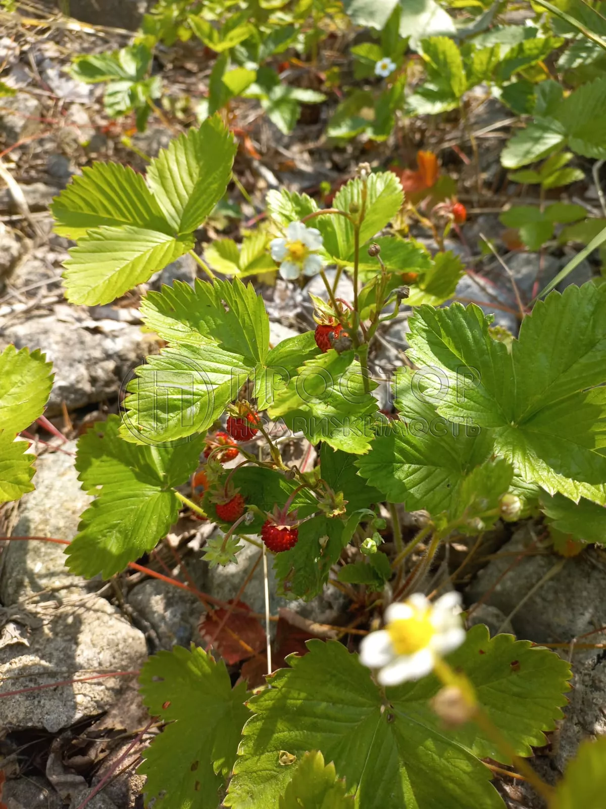 Дом, 150 м² - фото 76