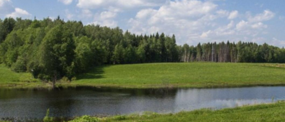 Регистрация сделок с землей в Московской области