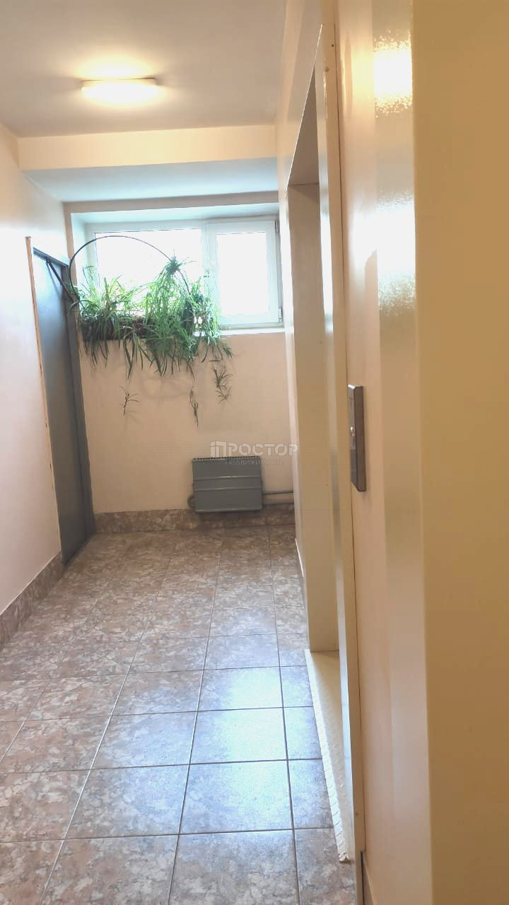 2-комнатная квартира, 53.5 м² - фото 13