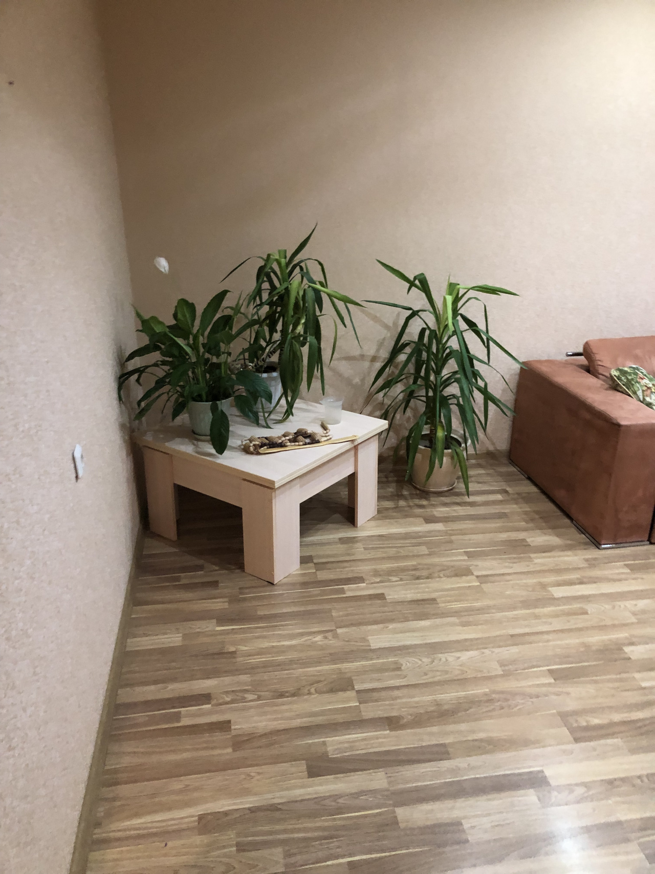 3-комнатная квартира, 74 м² - фото 4