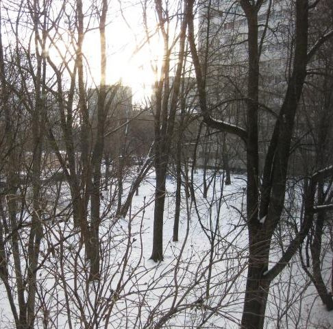 1-комнатная квартира, 33 м² - фото 3