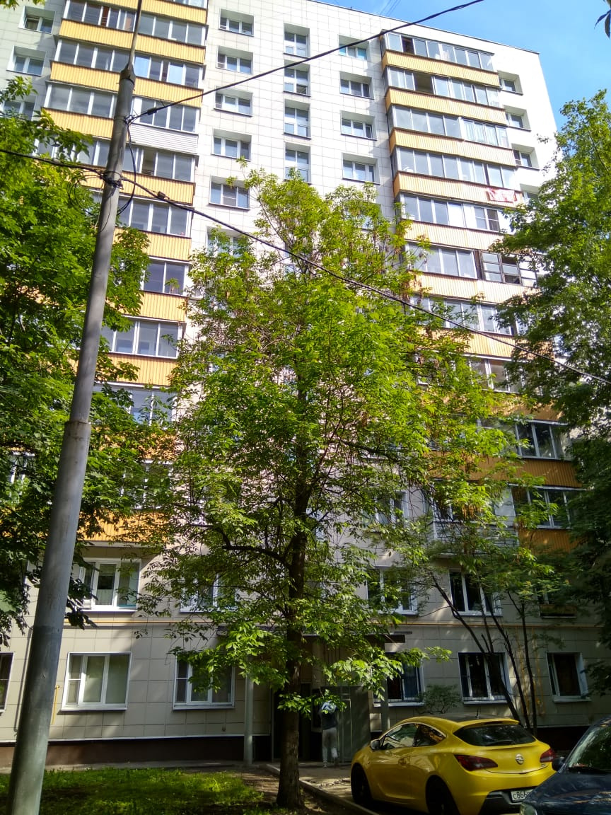 2-комнатная квартира, 38.9 м² - фото 2