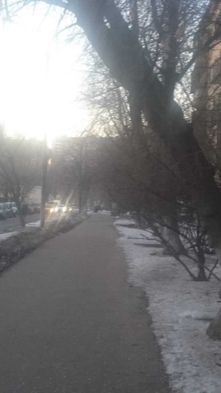 1-комнатная квартира, 31 м² - фото 18