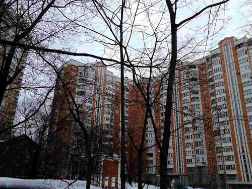 2-комнатная квартира, 51.7 м² - фото 3