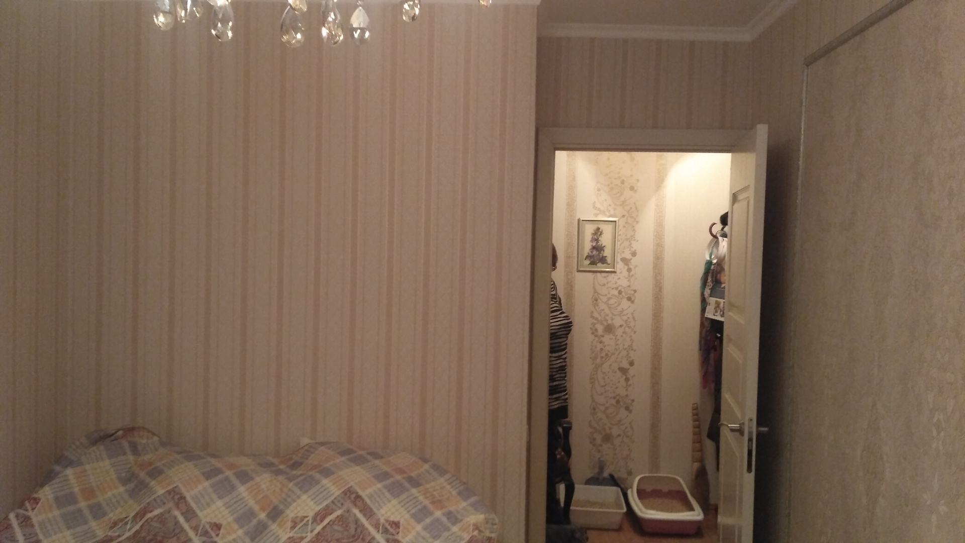 2-комнатная квартира, 45 м² - фото 4