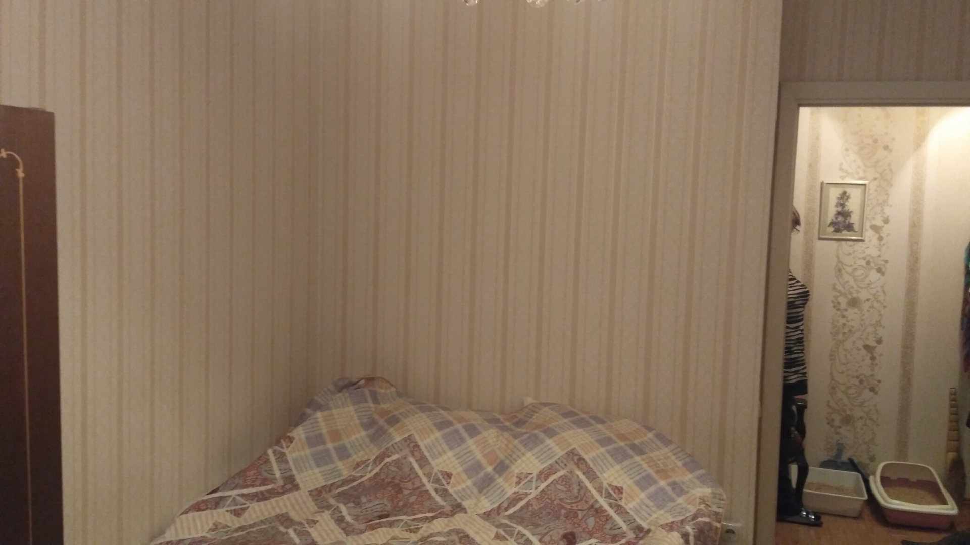 2-комнатная квартира, 45 м² - фото 5