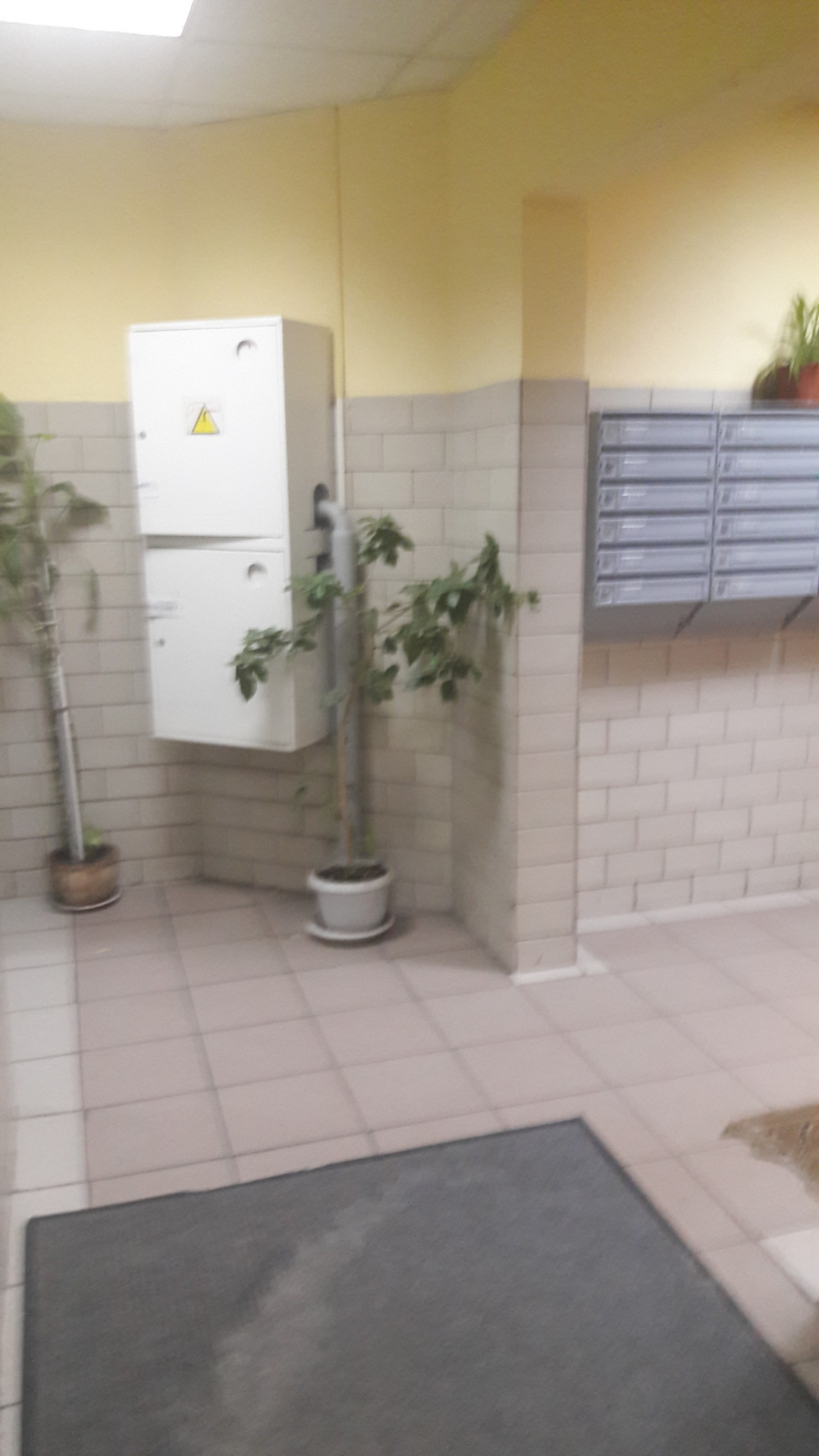 2-комнатная квартира, 61 м² - фото 2