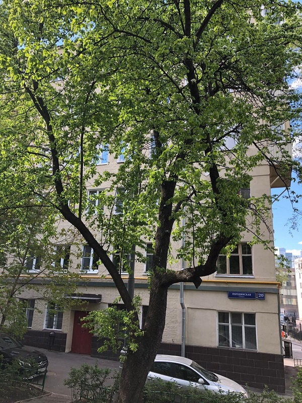 4-комнатная квартира, 82.6 м² - фото 2