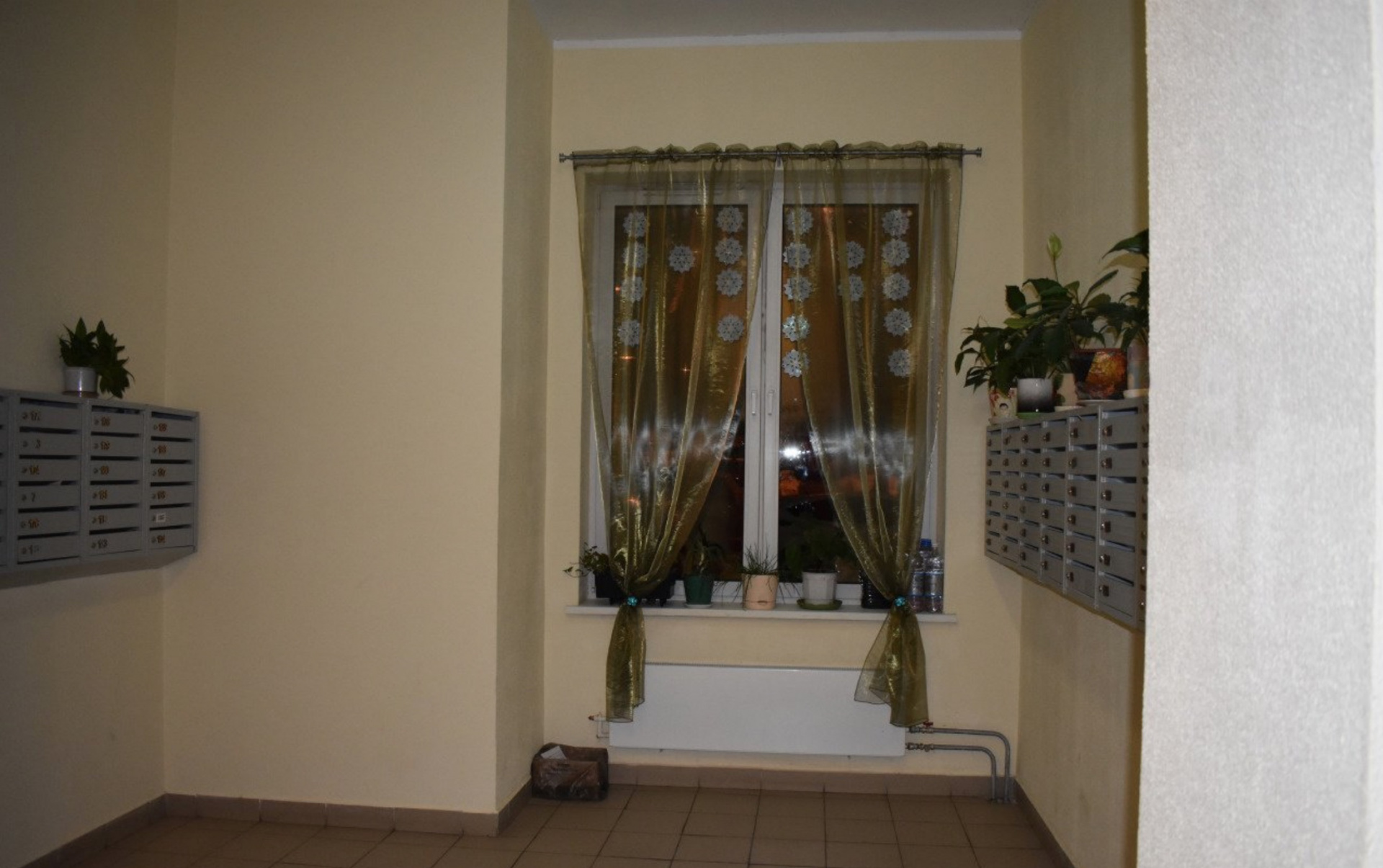 2-комнатная квартира, 52 м² - фото 3