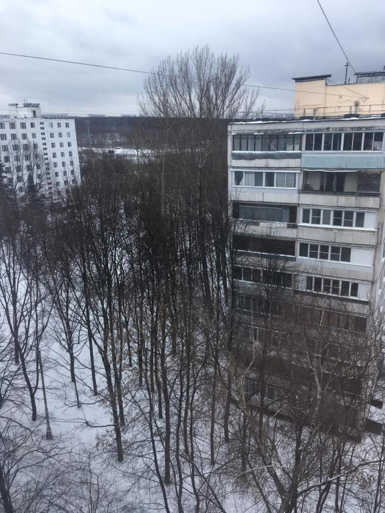 2-комнатная квартира, 46 м² - фото 3