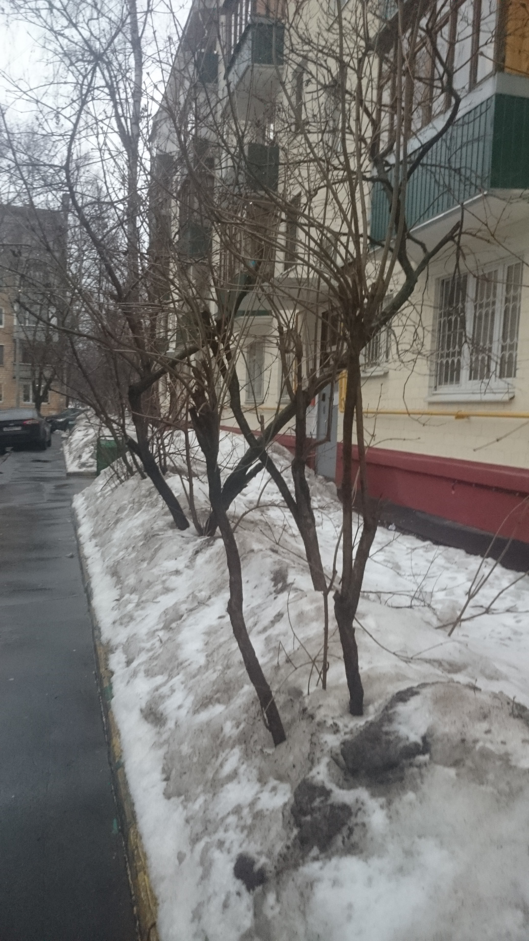 3-комнатная квартира, 54 м² - фото 13