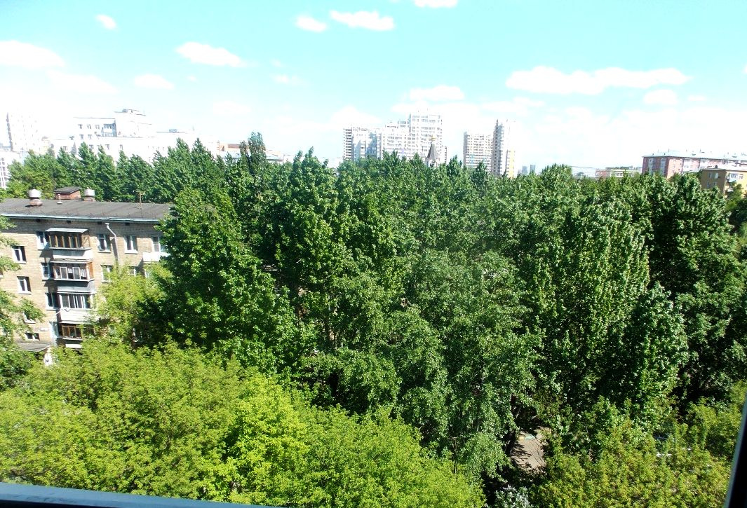 1-комнатная квартира, 35 м² - фото 8