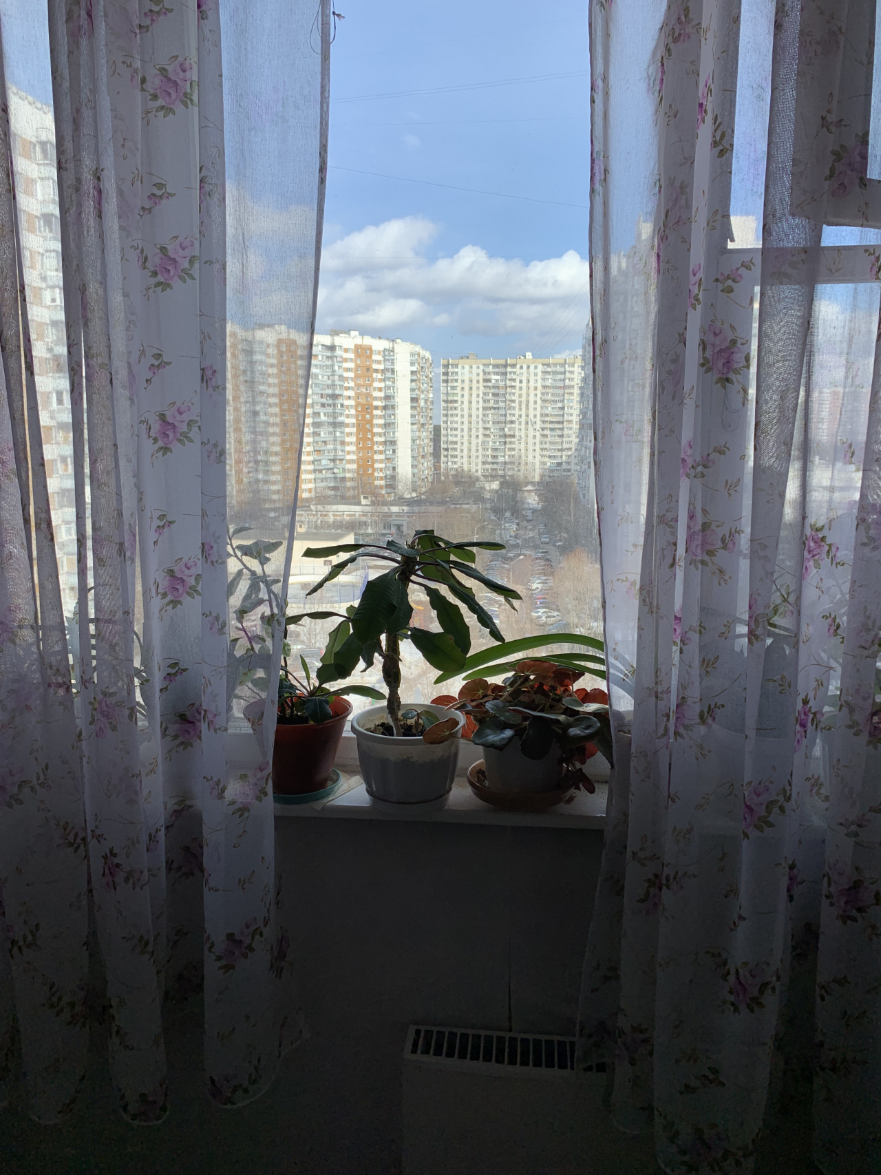 3-комнатная квартира, 74.5 м² - фото 3