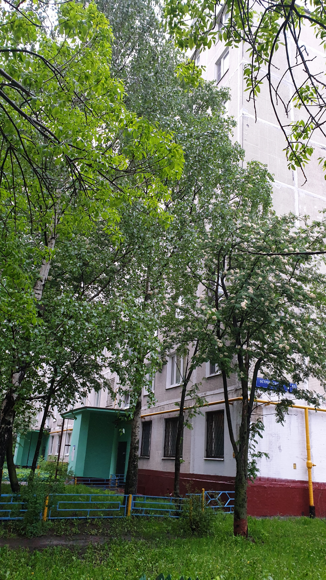 3-комнатная квартира, 59.8 м² - фото 19