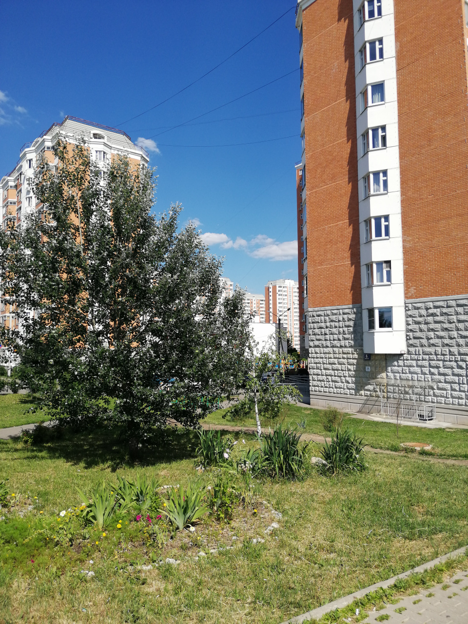 2-комнатная квартира, 54 м² - фото 15