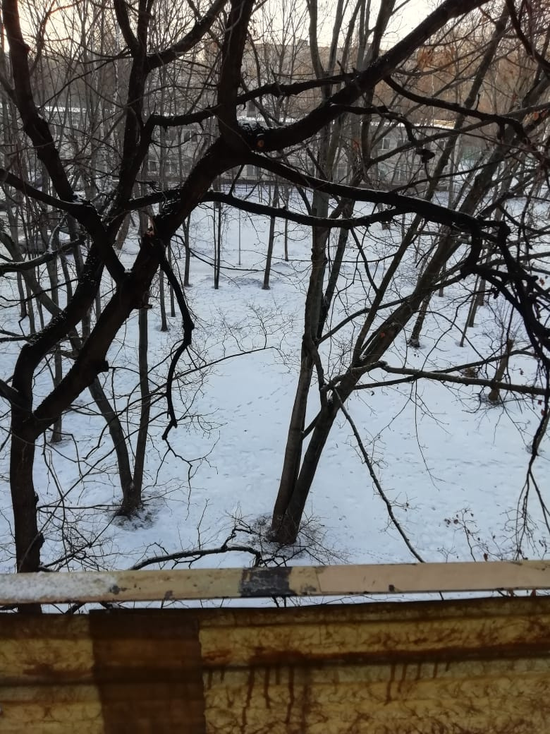 1-комнатная квартира, 30.6 м² - фото 9