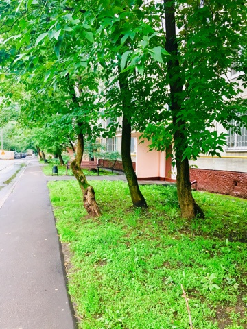 3-комнатная квартира, 67 м² - фото 24