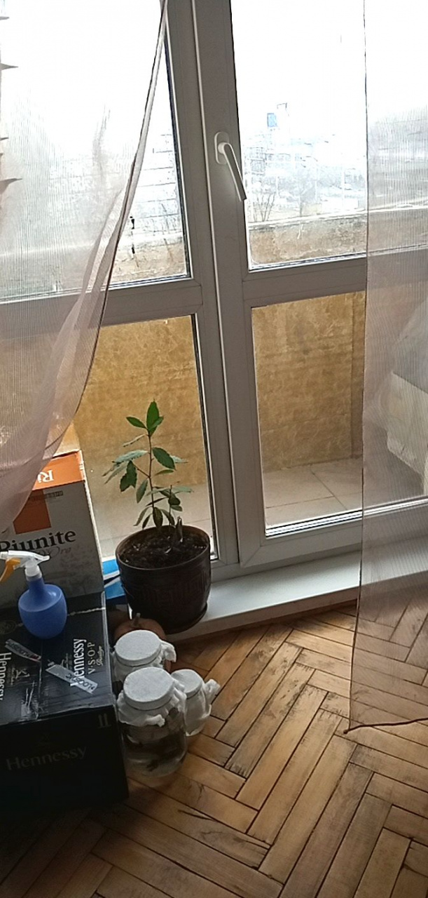 2-комнатная квартира, 66 м² - фото 9