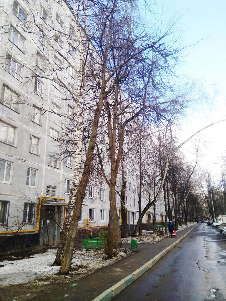 3-комнатная квартира, 60 м² - фото 4